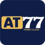 AT77 Game