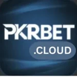 PKRBet logo for #1 game in pakistan